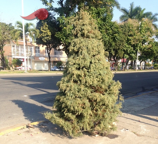 Poza143_2