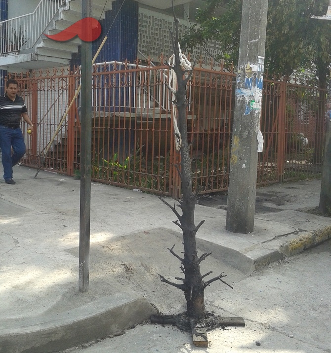 Poza145