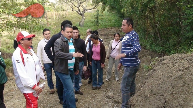 Poza196_2