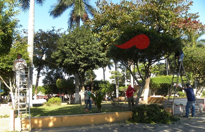 Poza233_1