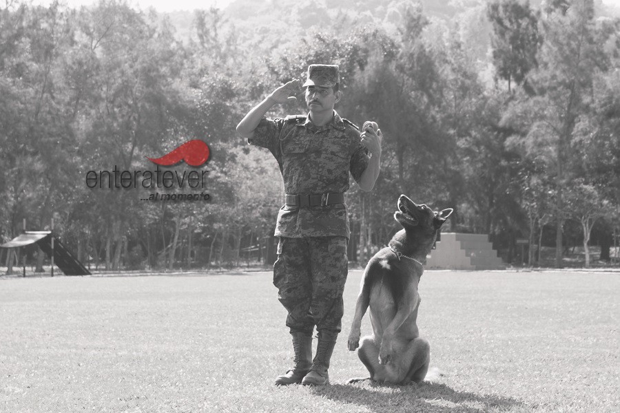 Festejan el día del Ejército Mexicano