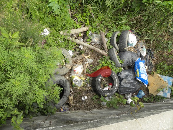 Persisten Basureros Clandestinos en Poza Rica