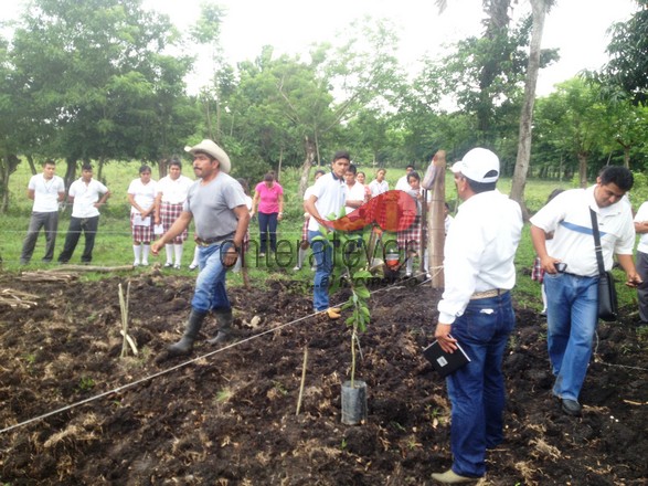 Siembran árboles y promueven la cultura del cuidado ambiental