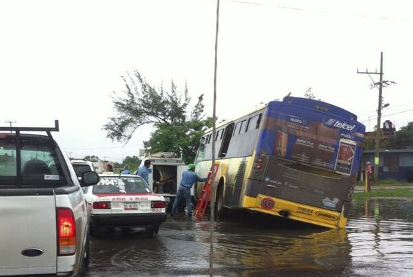 Cae autobús a cuneta