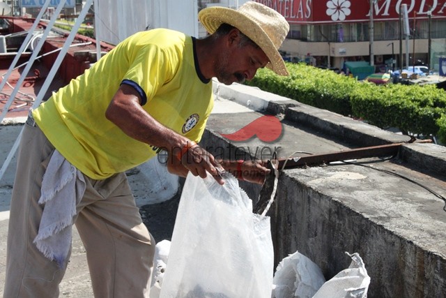 Descacharrizan el Mercado Poza Rica