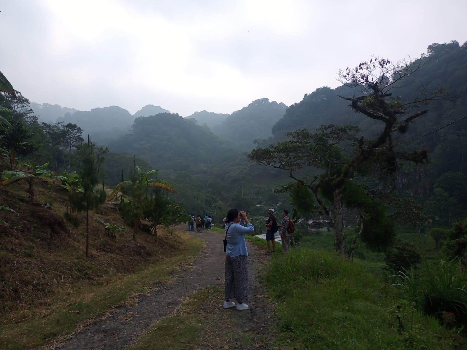 Logran el avistamiento de 40 especies de aves durante recorrido en